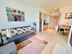 Citylights (D8), Condominium #432353551